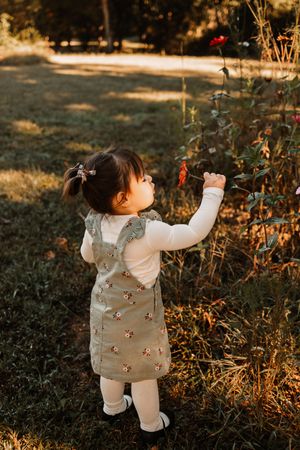 Toddler girl in floral jumper reaching for red flower at The Holmstead Studio in Karns, TN with Nina Thomas Photography.