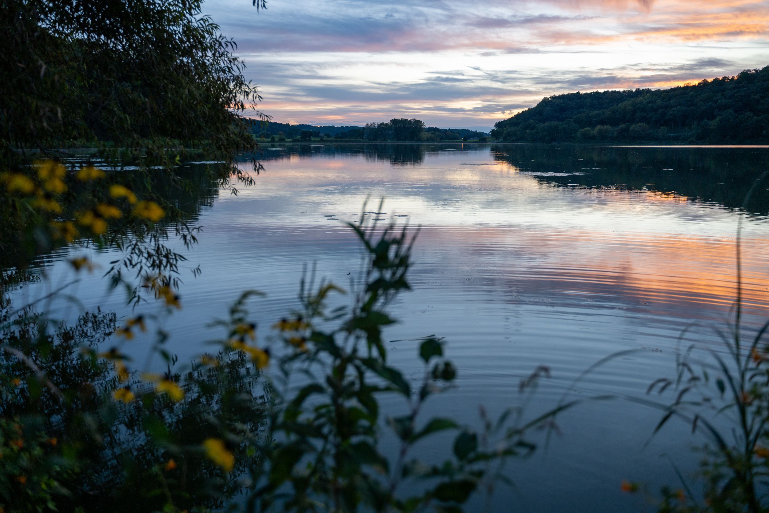 Serene river at sunset with colorful sky reflections, lush green trees lining the banks, and yellow wildflowers in the foreground.