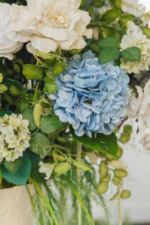 Blue hydrangea and white roses floral wedding arrangement with lush green foliage.