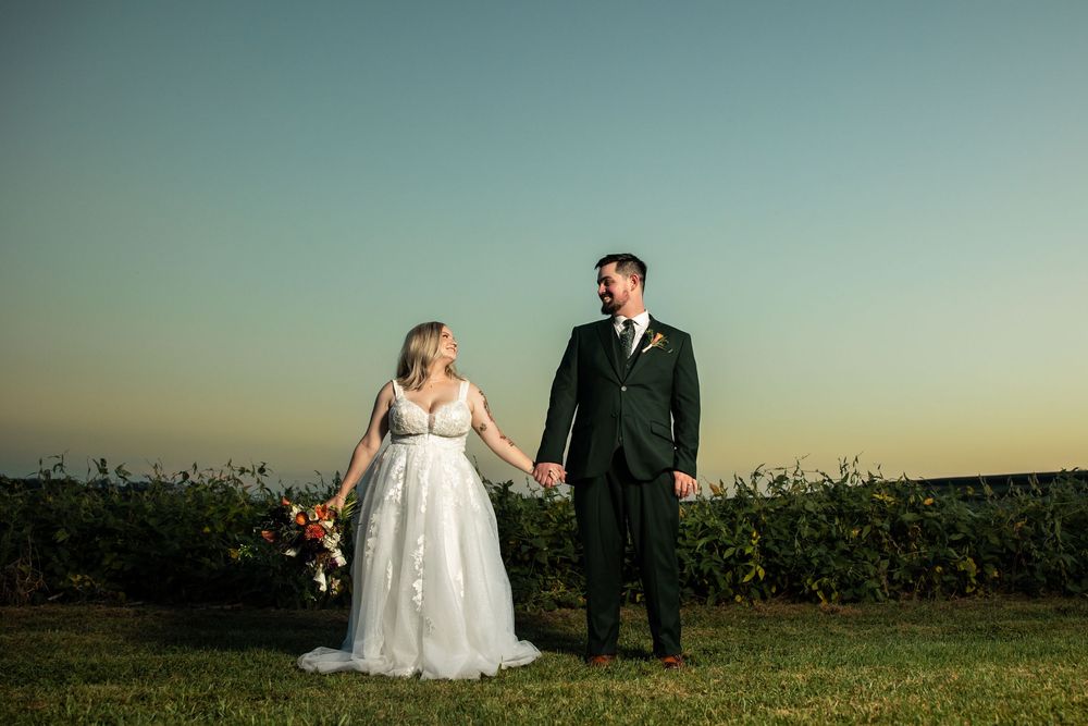 Bride and groom holding hands at sunset in a vineyard, bride in lace gown, groom in dark suit.