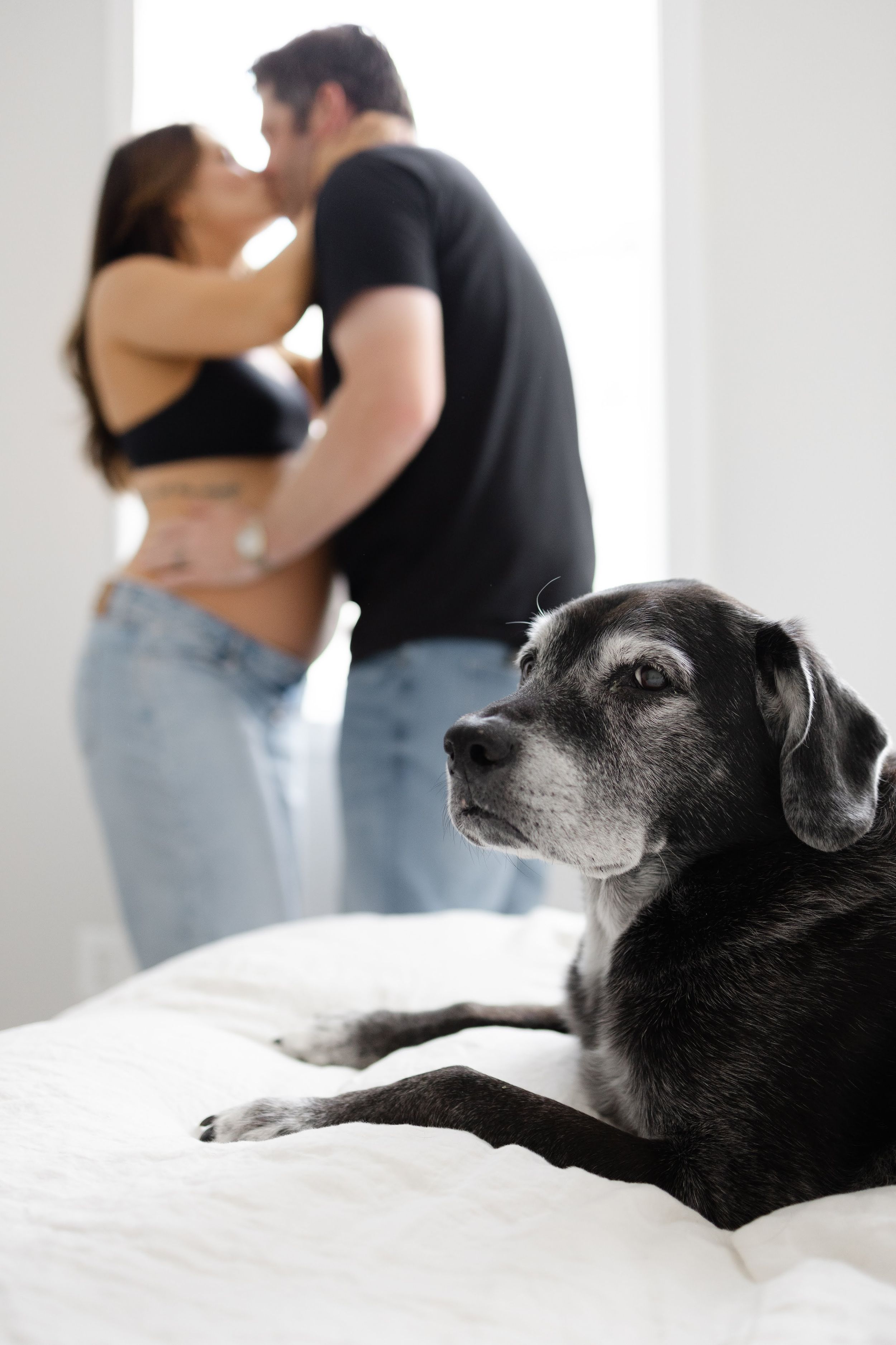 Senior black dog rests on bed while pregnant couple shares a kiss in the background.