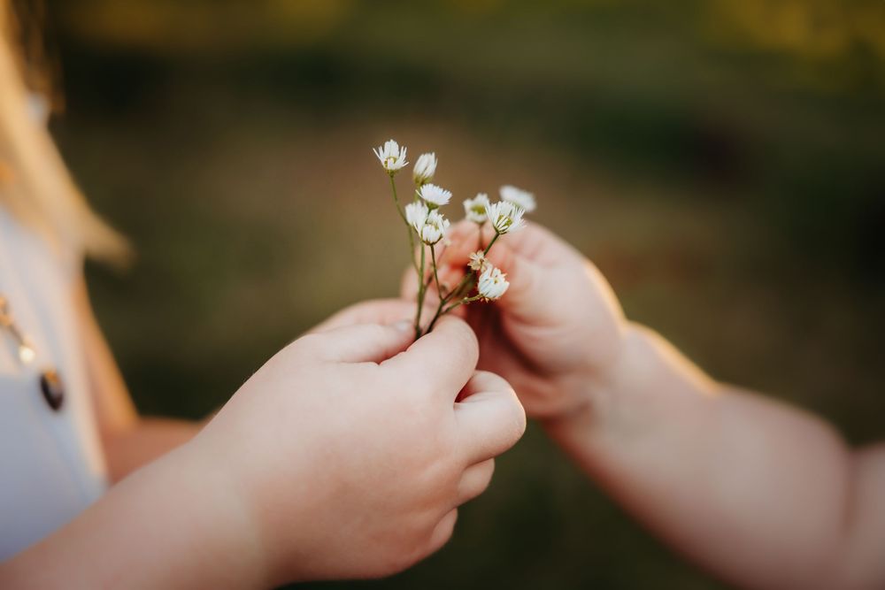 Two children sharing delicate white wildflowers outdoors in soft golden light.