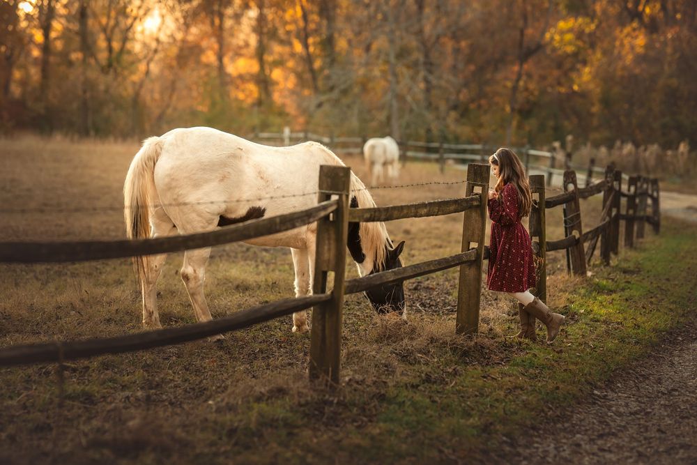 Woman in red dress stands by wooden fence with white horses grazing in golden autumn sunset light.