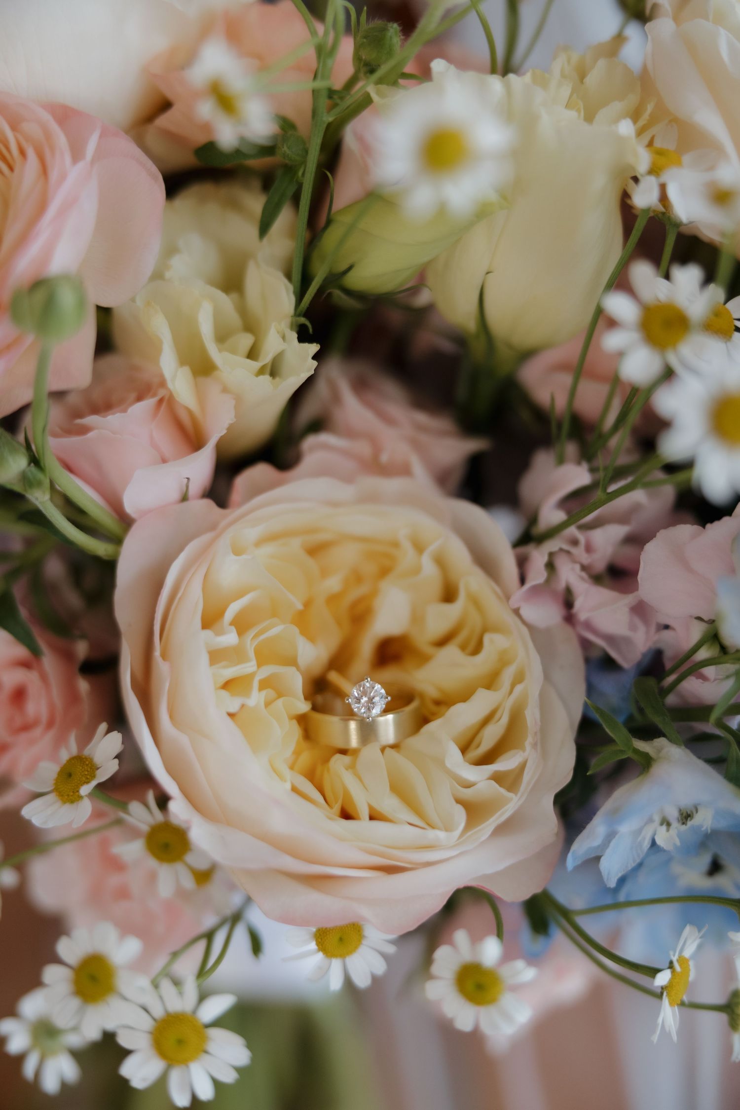 Gold diamond engagement ring resting on peach garden rose in pastel wedding bouquet with daisies.