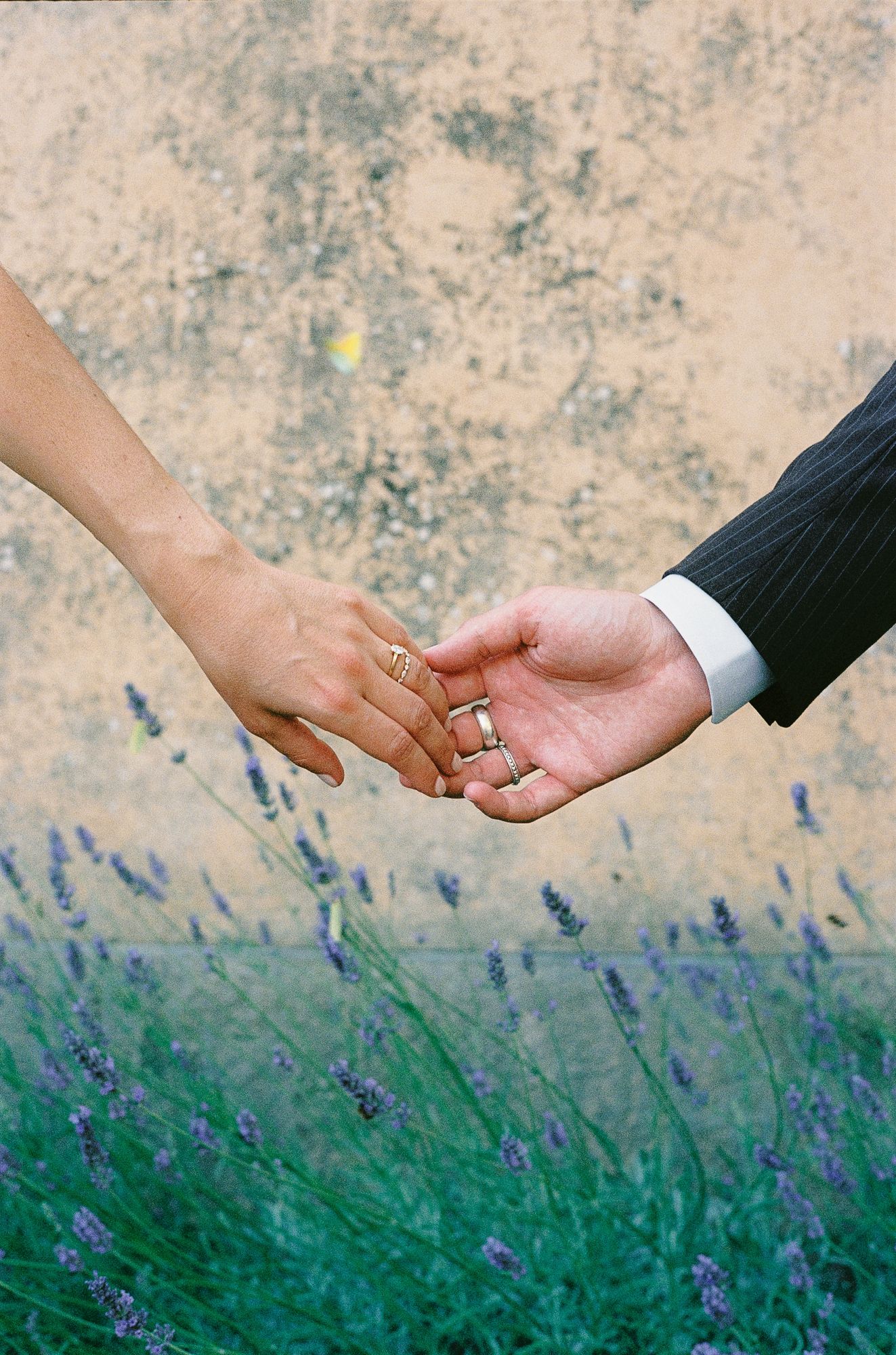 Bride and groom holding hands with wedding rings, lavender flowers in foreground against rustic wall.