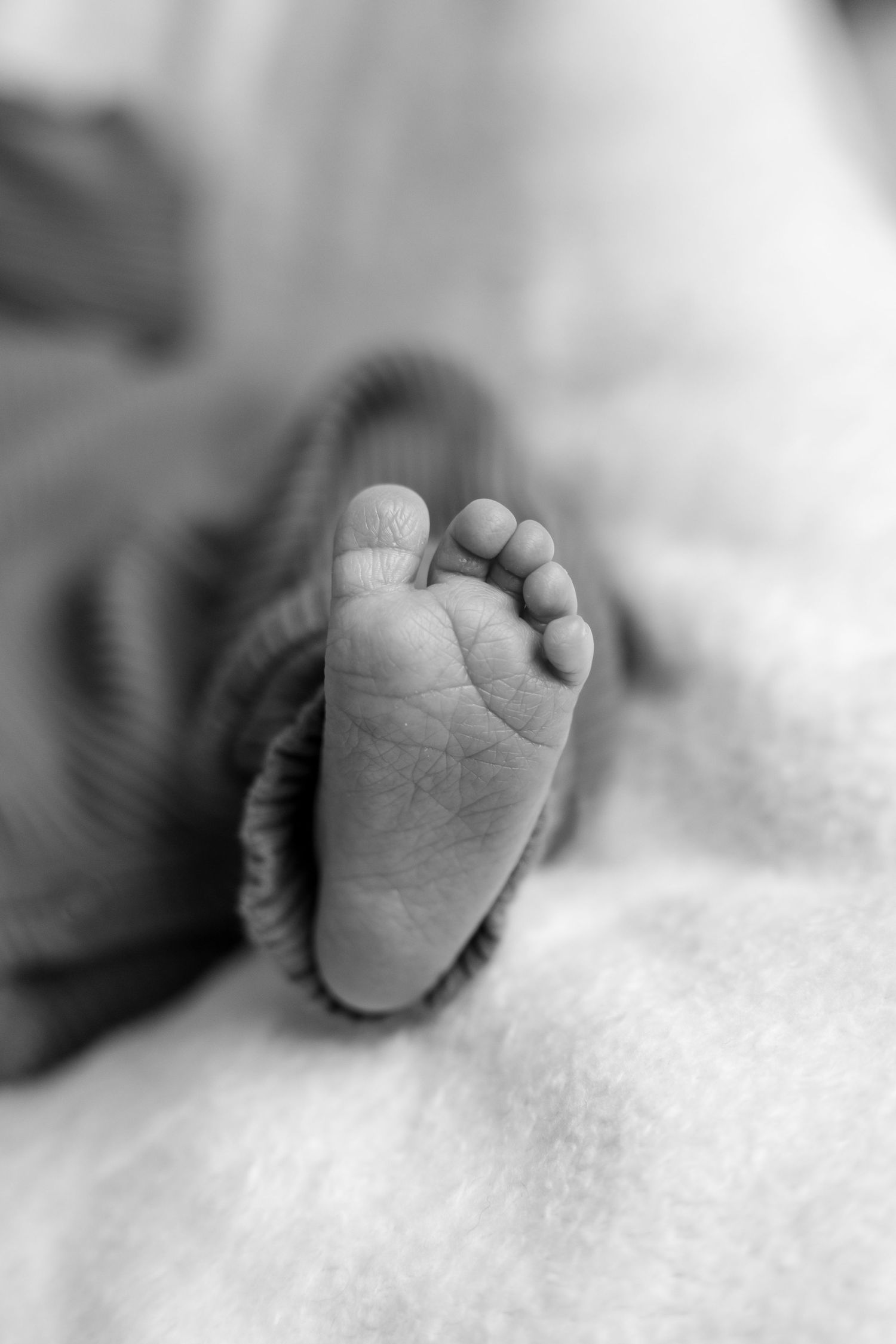 Black and white close-up photo of a newborn baby's tiny feet resting on a soft white blanket.