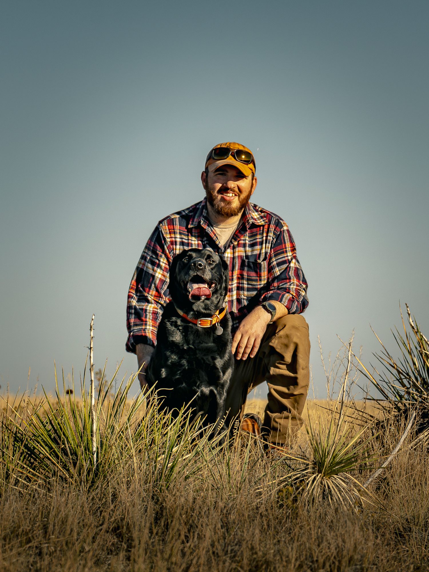 Man in plaid shirt and cap kneeling with black Labrador dog in grassy field at golden hour.