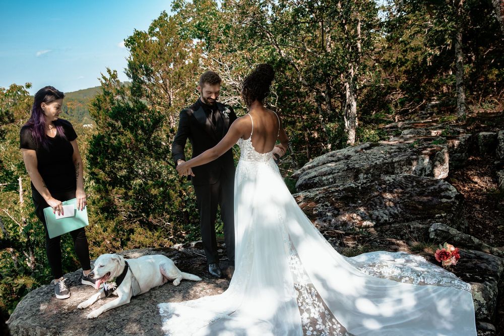 Outdoor wedding ceremony on rocky hilltop with bride, groom, officiant, and white dog amid lush green trees.