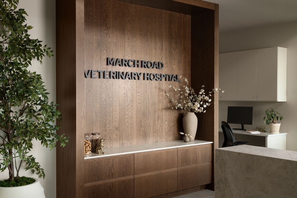 Modern veterinary hospital reception desk with wood paneling, March Road Veterinary Hospital signage, and elegant decor.