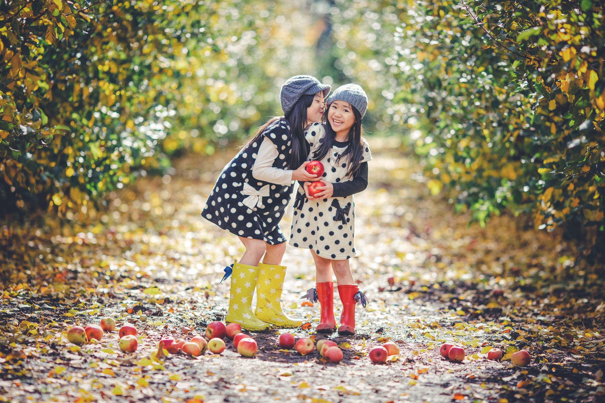 Two young girls in polka dot dresses and rain boots picking apples in an orchard during autumn.
