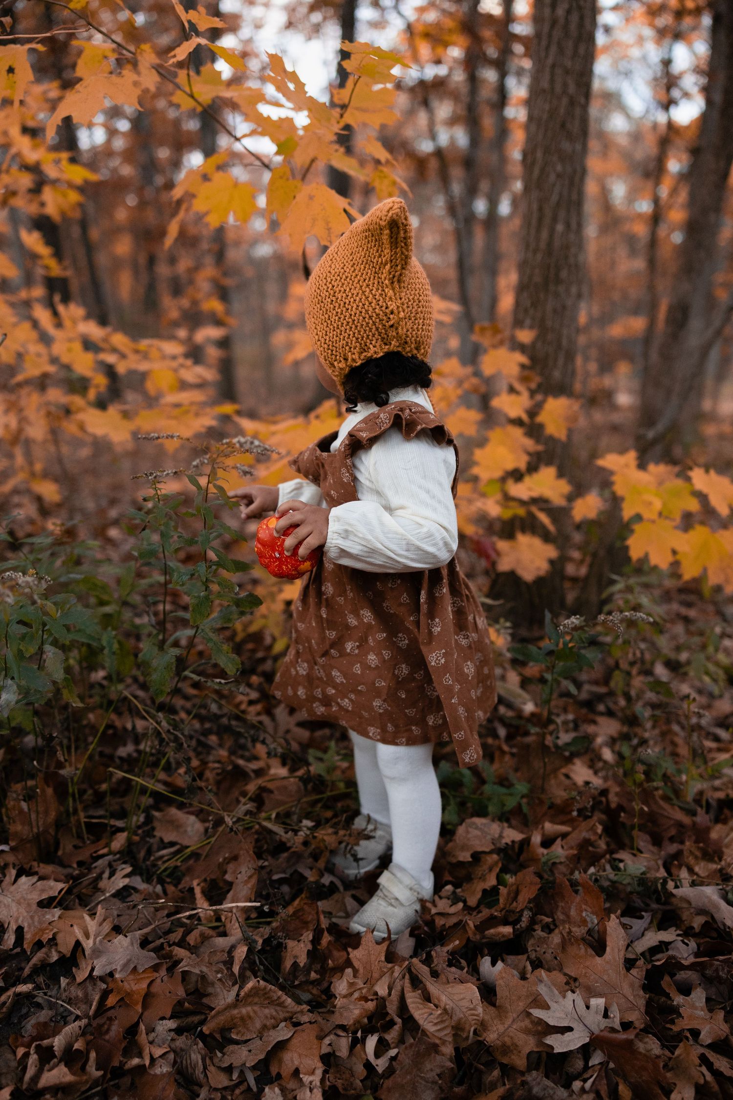 Toddler girl in brown dress and orange pointy hat holding pumpkin among fall foliage.