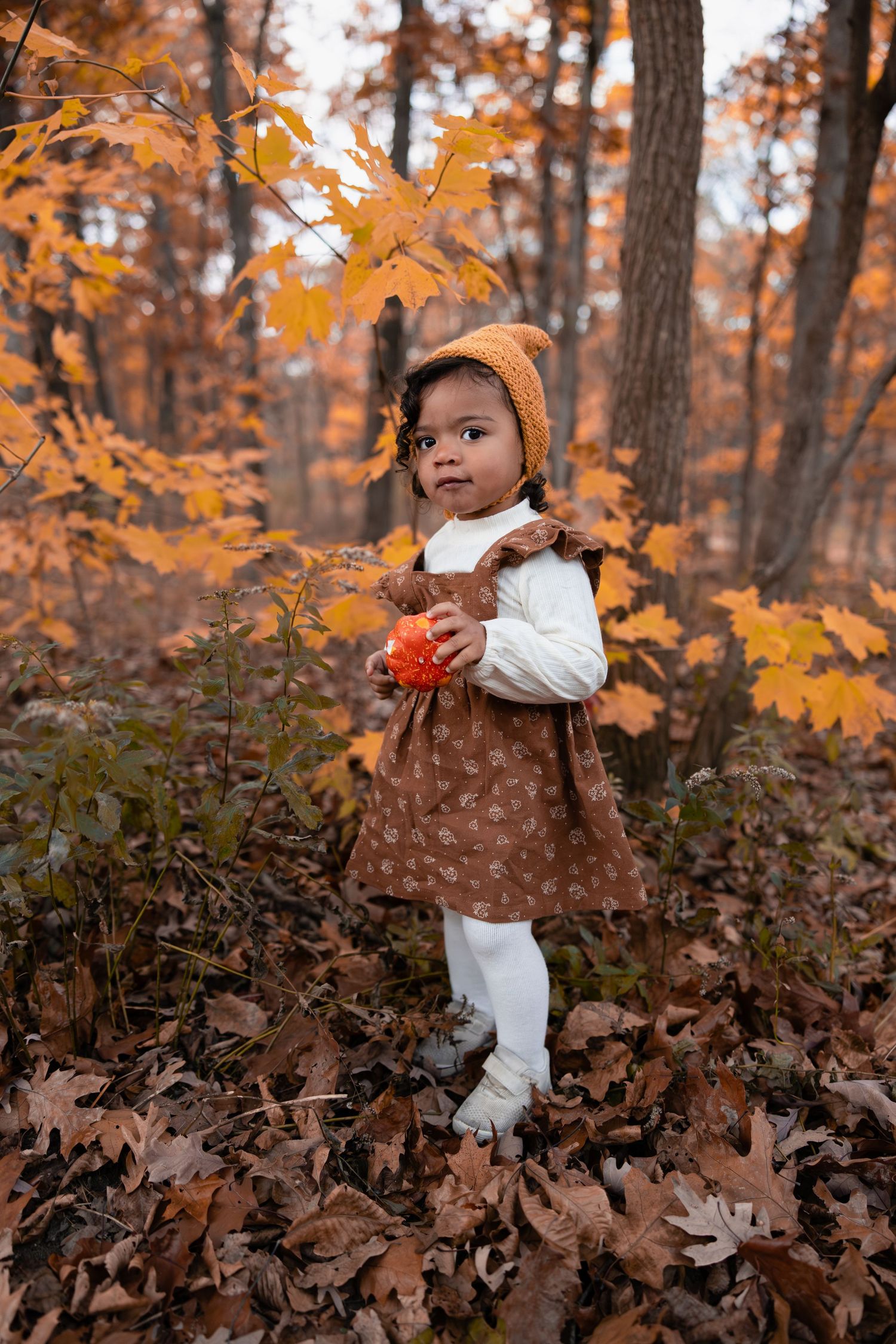 Toddler girl in brown dress and knit hat holding small pumpkin in fall woods.