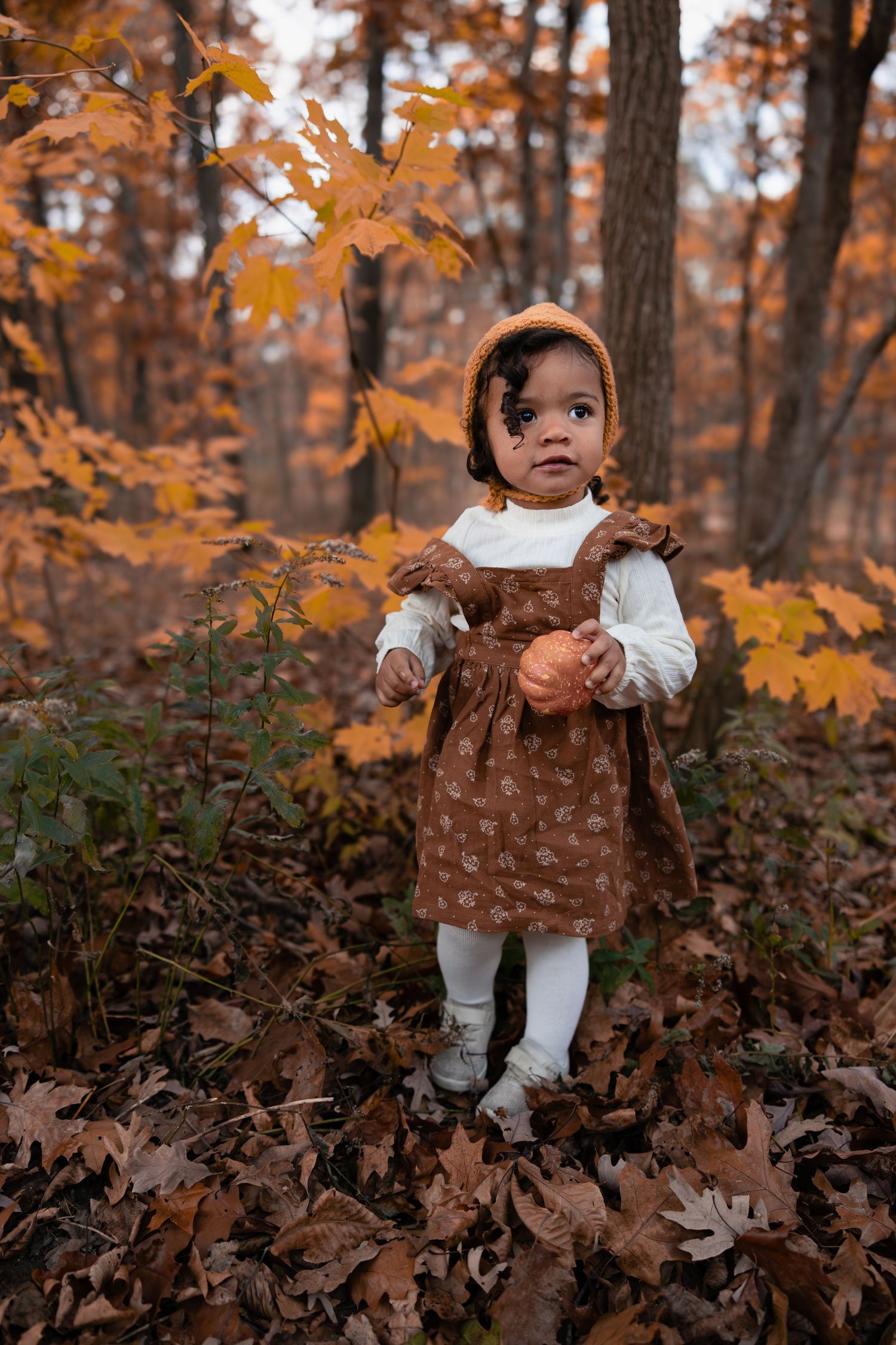 Toddler girl in brown floral dress and orange knit hat holding pumpkin in fall forest.