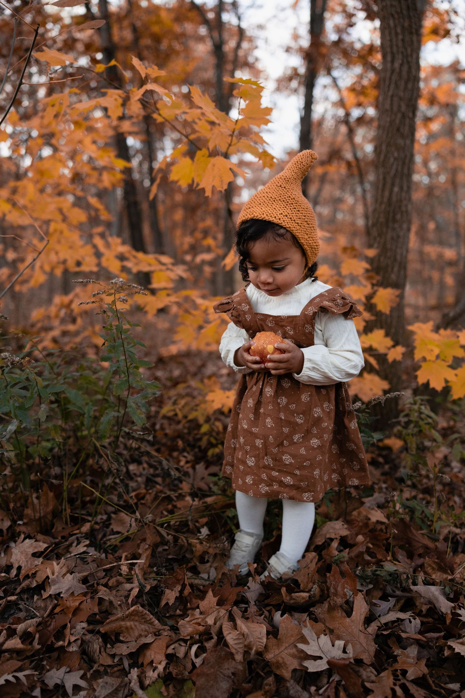 Toddler girl in brown dress and orange gnome hat examining small pumpkin in autumn woods.