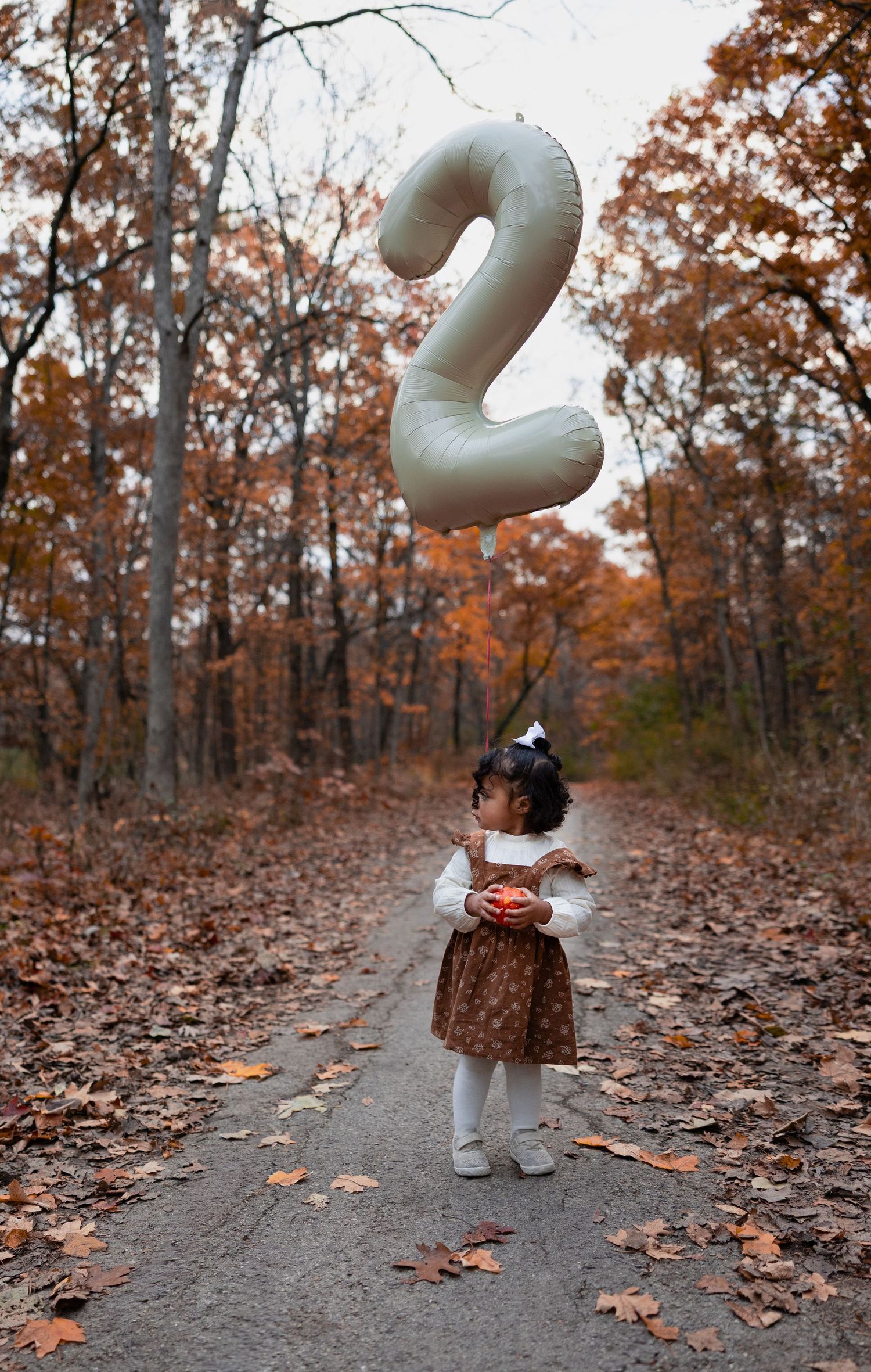 Toddler girl holding number 2 balloon on leaf-covered path in autumn forest.