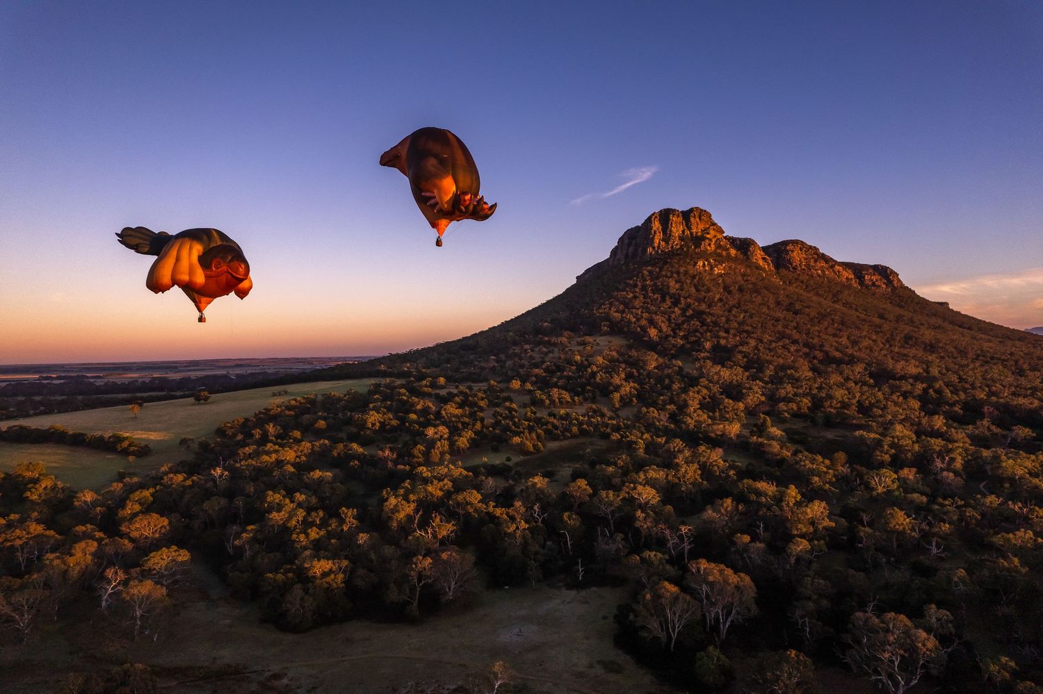 Red wing suits soaring over mountain landscape at sunset. Dunkeld, Patricia Piccinini