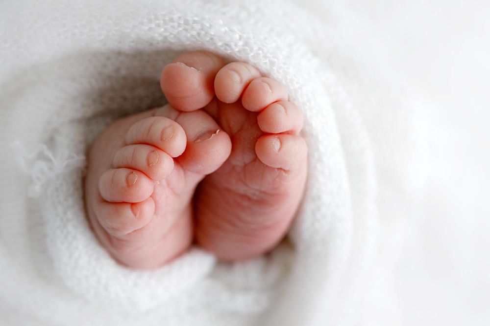 Close-up of tiny newborn baby feet wrapped in a soft white blanket.