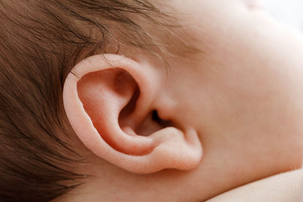 Close-up of a newborn baby's ear showing delicate skin and tiny features.