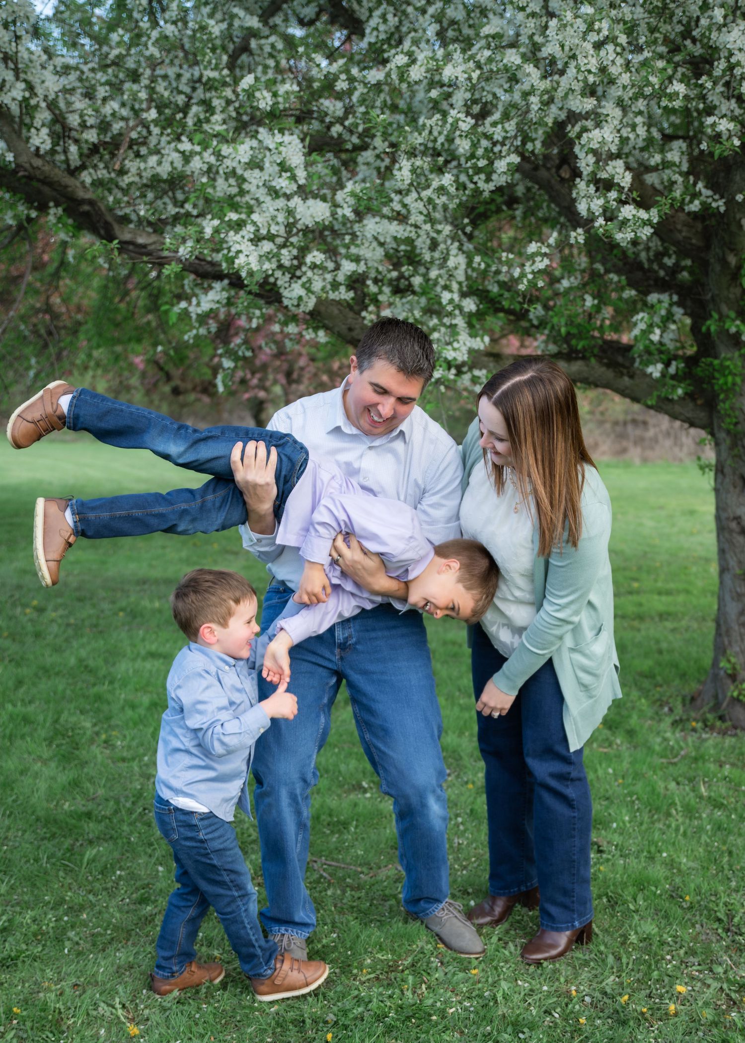 Family of four playing outdoors under blooming white tree, parents swinging child while toddler watches, spring day.
