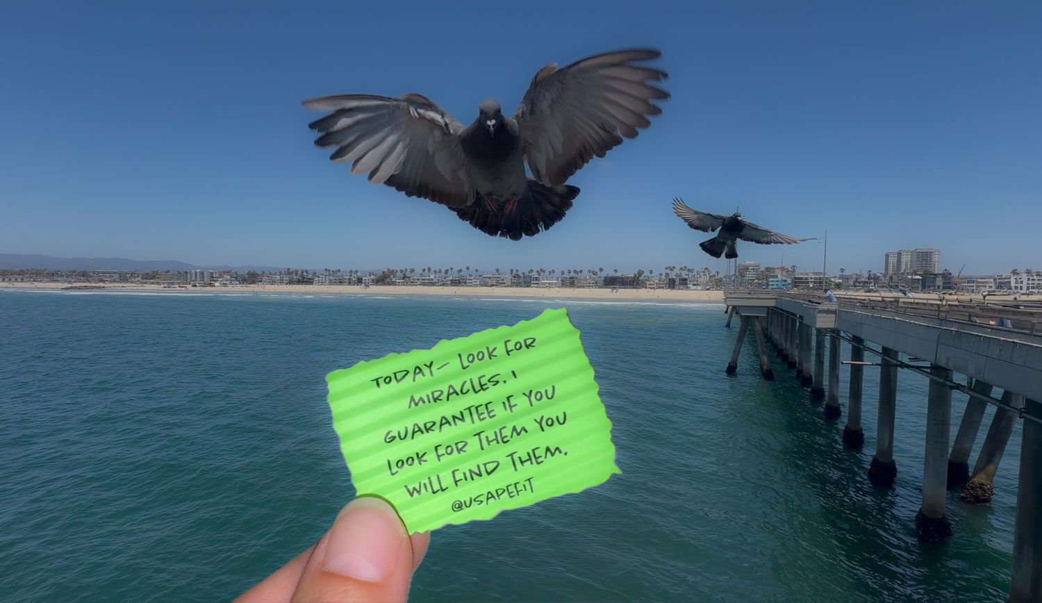 Hand holding a green note card with two pigeons flying over a sunny ocean pier on a clear blue sky day.