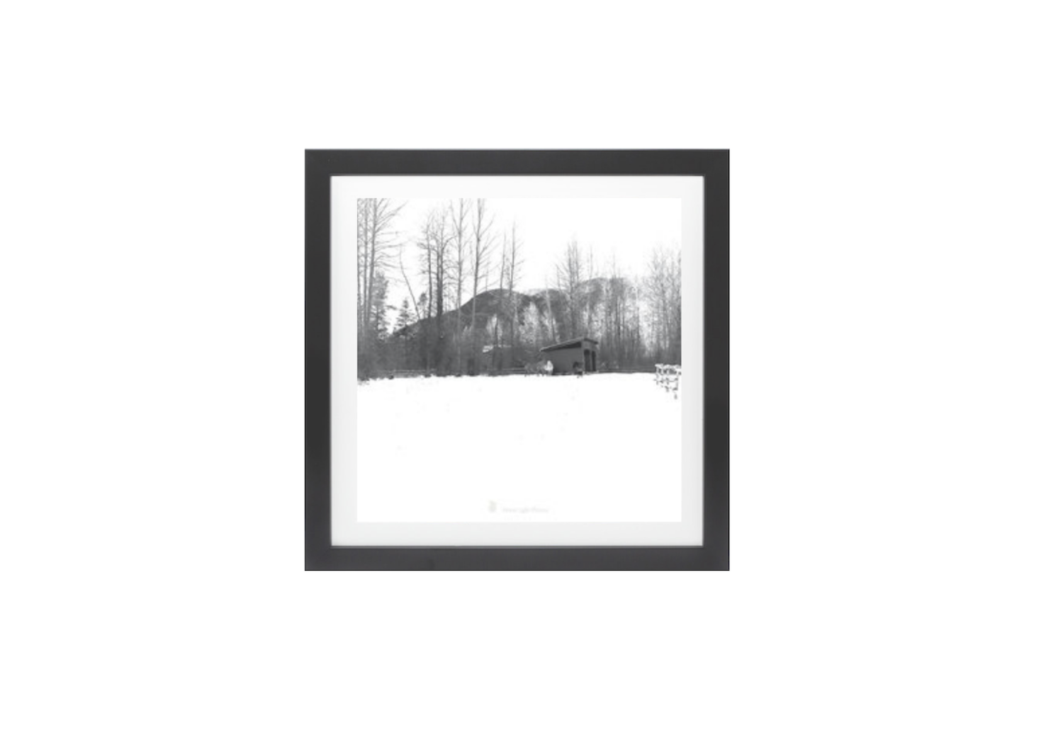 Gallery Framed Prints Order Online