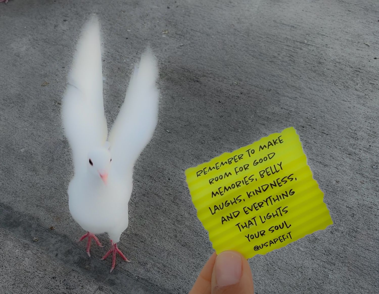 White dove spreading wings beside a yellow sticky note with inspirational quote about kindness and memories.