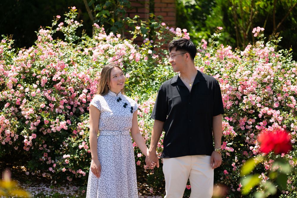 A smiling couple holds hands while standing in front of a blooming pink rose garden on a sunny day.