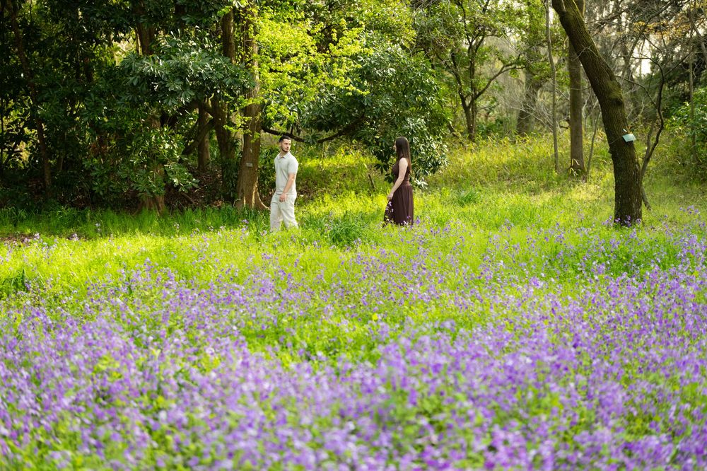 Two people in light clothing stand among green trees in a sunlit park meadow filled with blooming purple wildflowers.