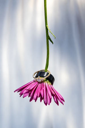 Gold diamond engagement ring and black wedding band resting on a pink daisy flower stem against soft white background.
