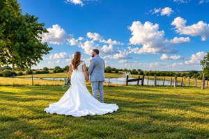 Bride and groom stand hand-in-hand on lush green lawn overlooking scenic lake under bright blue sky with fluffy clouds.
