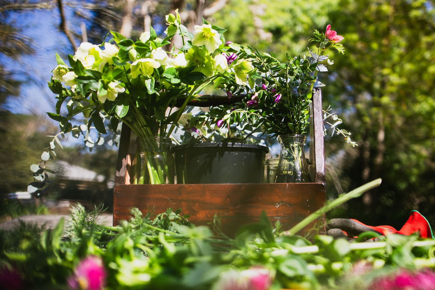 Applemint.photography-Business & families lifestyle photographer, King Valley & Wangaratta-Blossom&Pollen