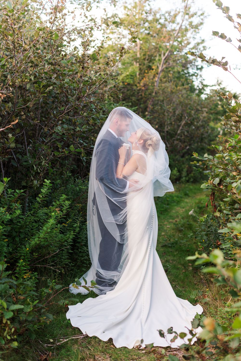 Bride and groom share a romantic kiss under a flowing veil surrounded by lush greenery on their wedding day.