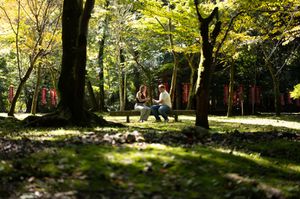 Two people sit on a bench in a sunlit autumn park, surrounded by tall trees and red lanterns in the background.