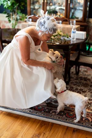 A bride in a white wedding dress bends down to pet a small white dog on an ornate rug in a sunlit room.