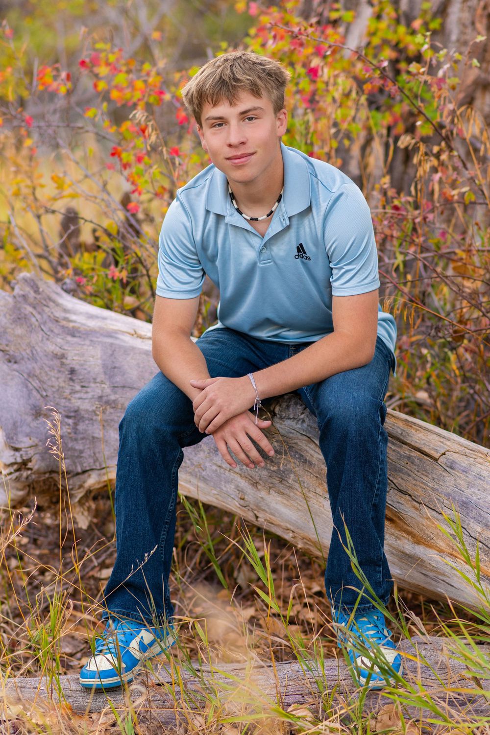 Someone in a light blue polo shirt and jeans sits casually on a fallen log surrounded by colorful autumn foliage.