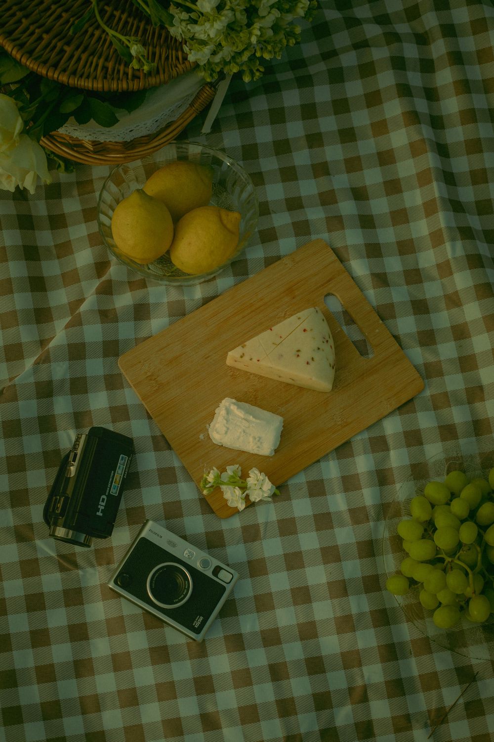 A vintage camera sits on a checkered picnic blanket alongside cheese, lemons, grapes and a wooden cutting board.