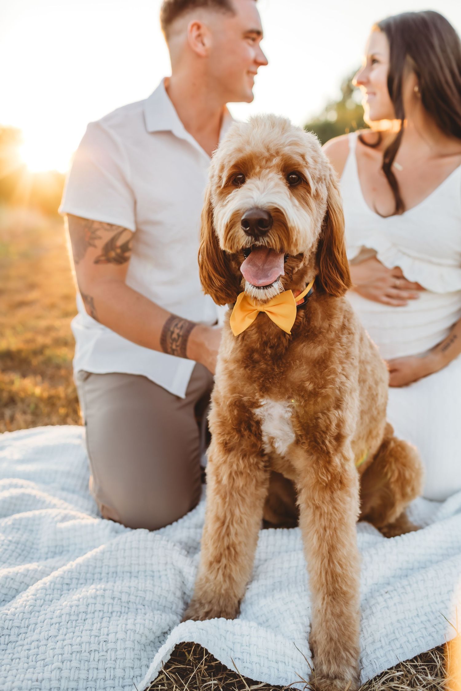 Romantic New Haven, CT forest photo session captures couple's bond and natural beauty