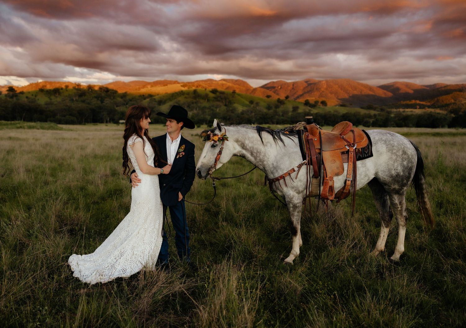 A bride and groom stand together with a grey horse in a rural field at golden hour, gazing at each other with smiles.