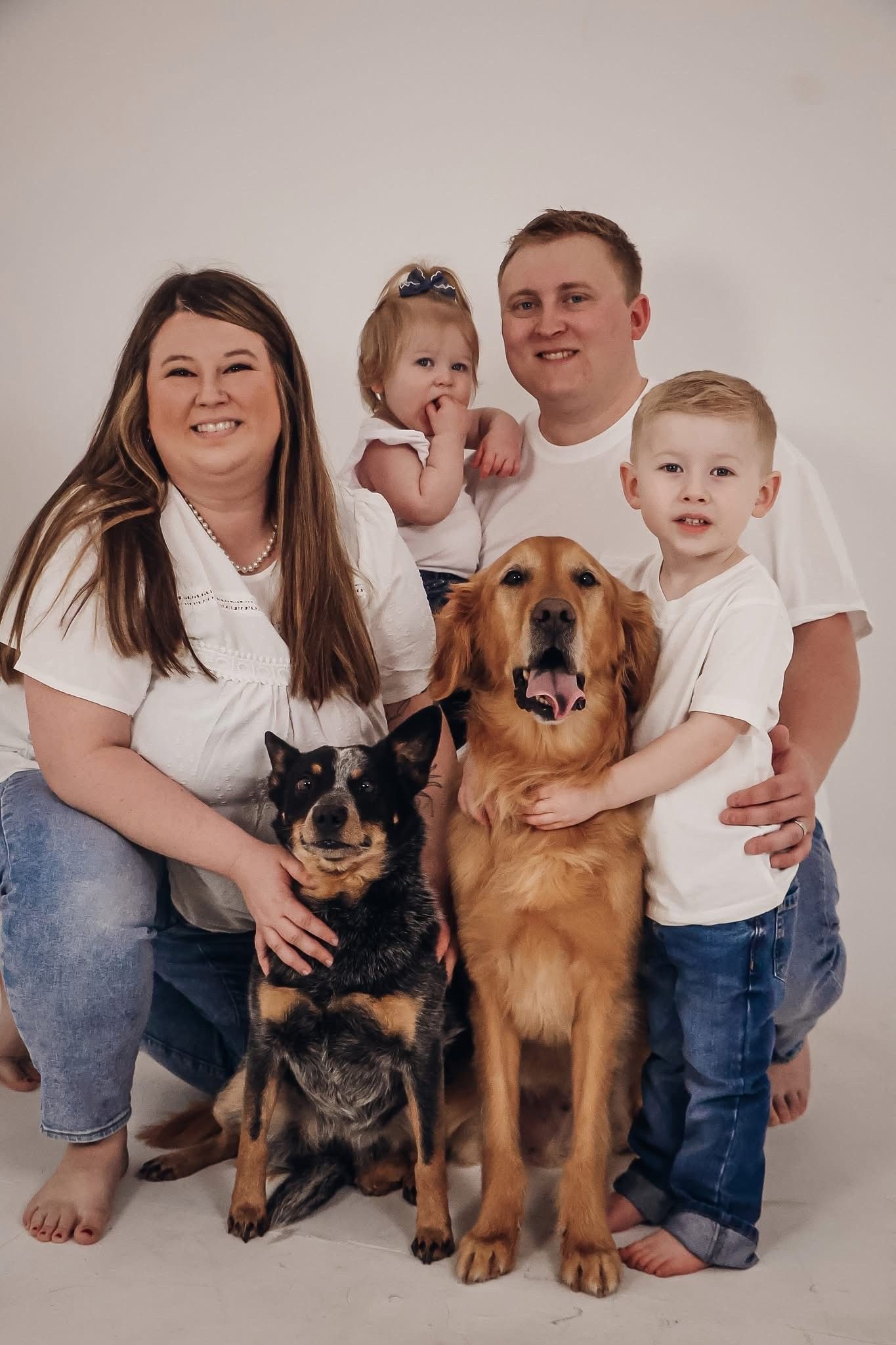 Family portrait with two dogs sitting together on white background. Family studio photography