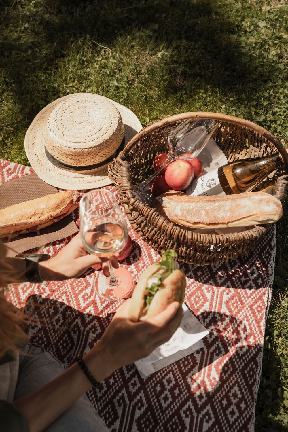 Pic nic in the alps