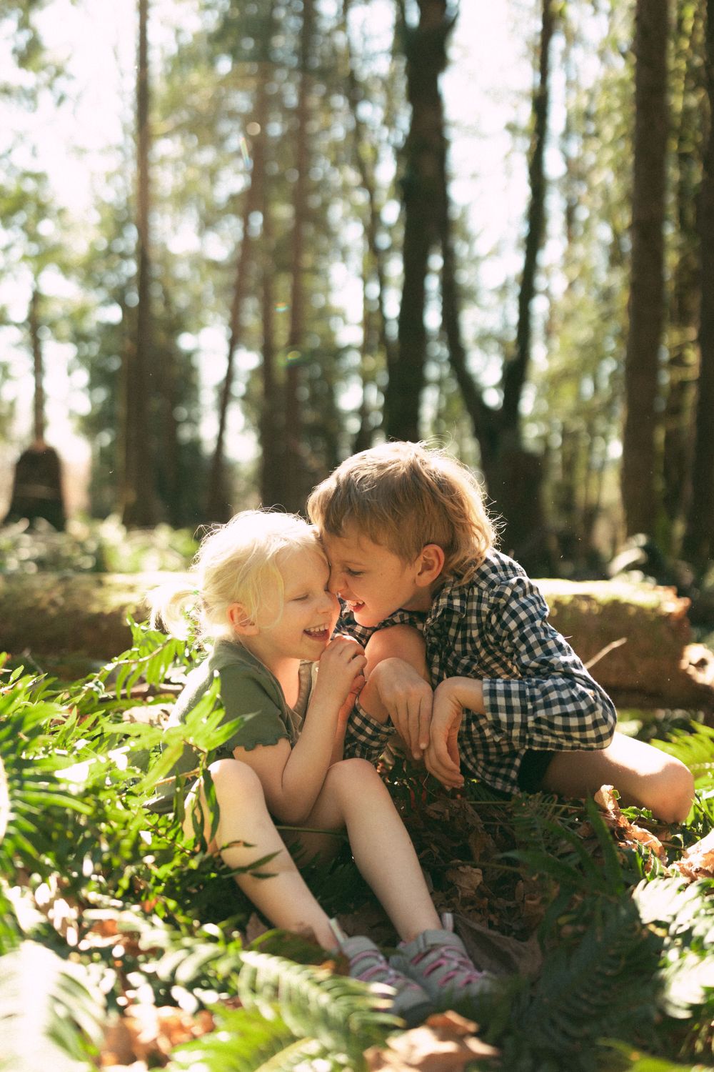Family Photos in Maple Ridge forest