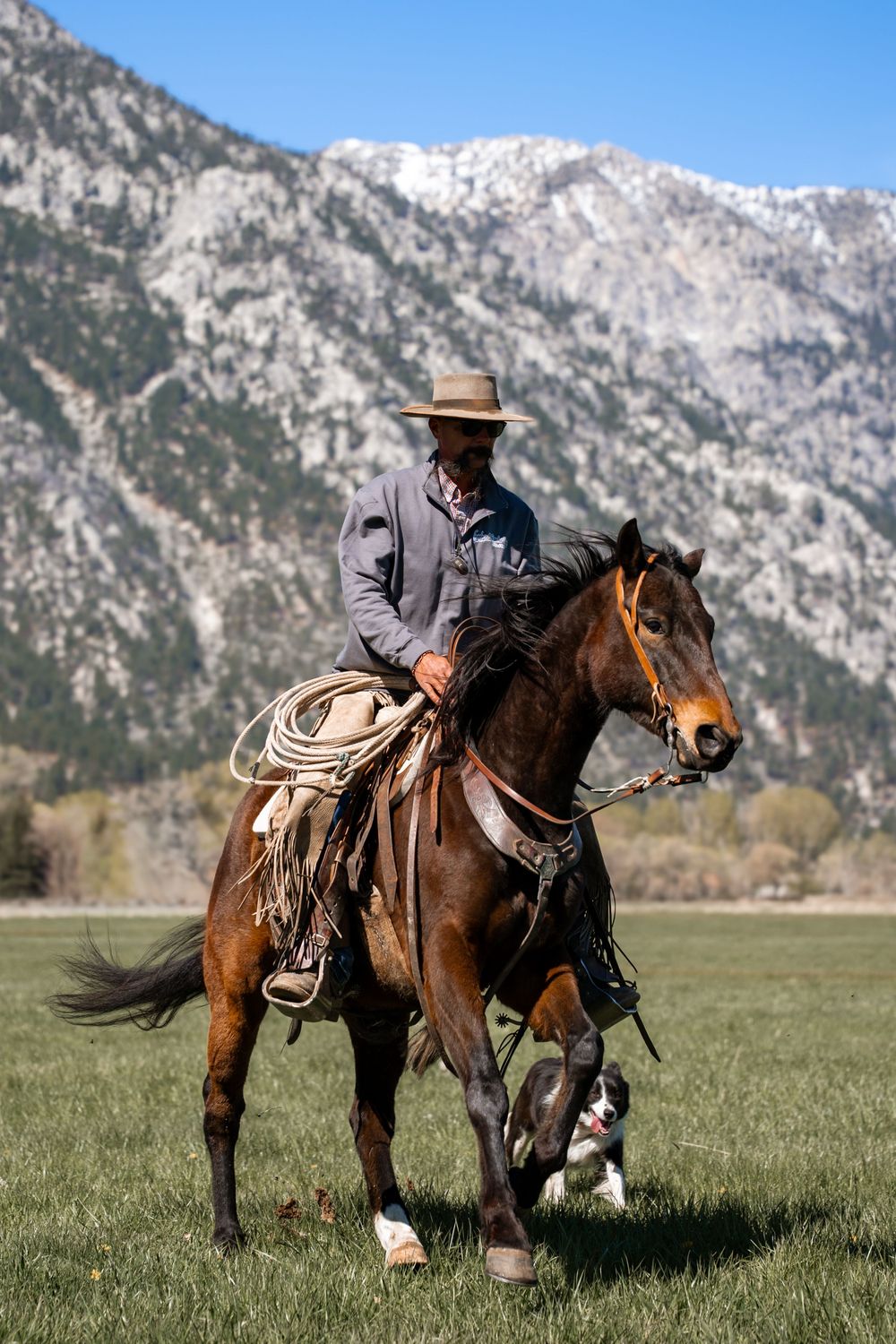 Cowboy on bay horse with lasso and dog in mountain meadow under blue sky.