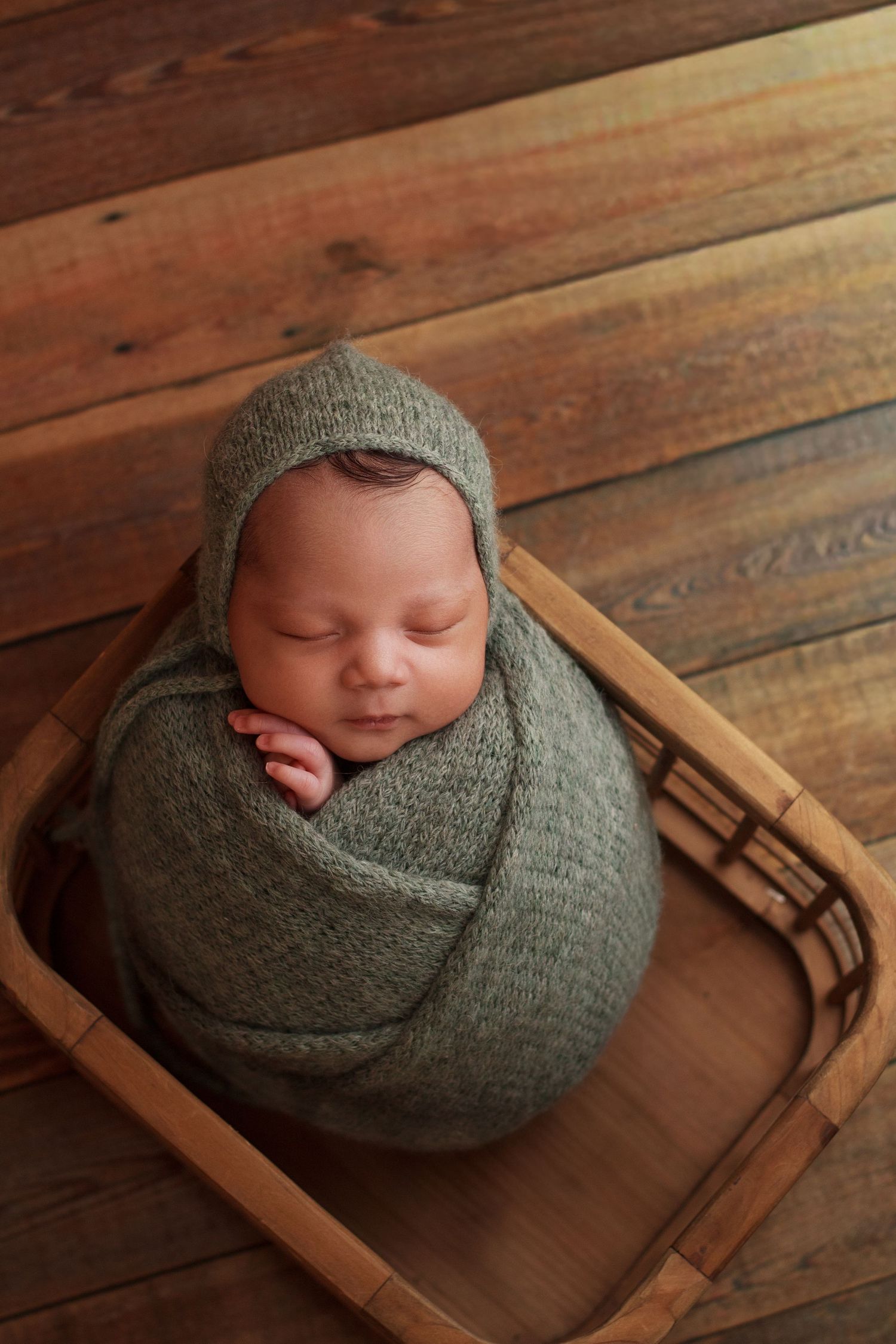 Newborn baby boy wrapped in blue and holding a toy moose laying inside a wooden cage
