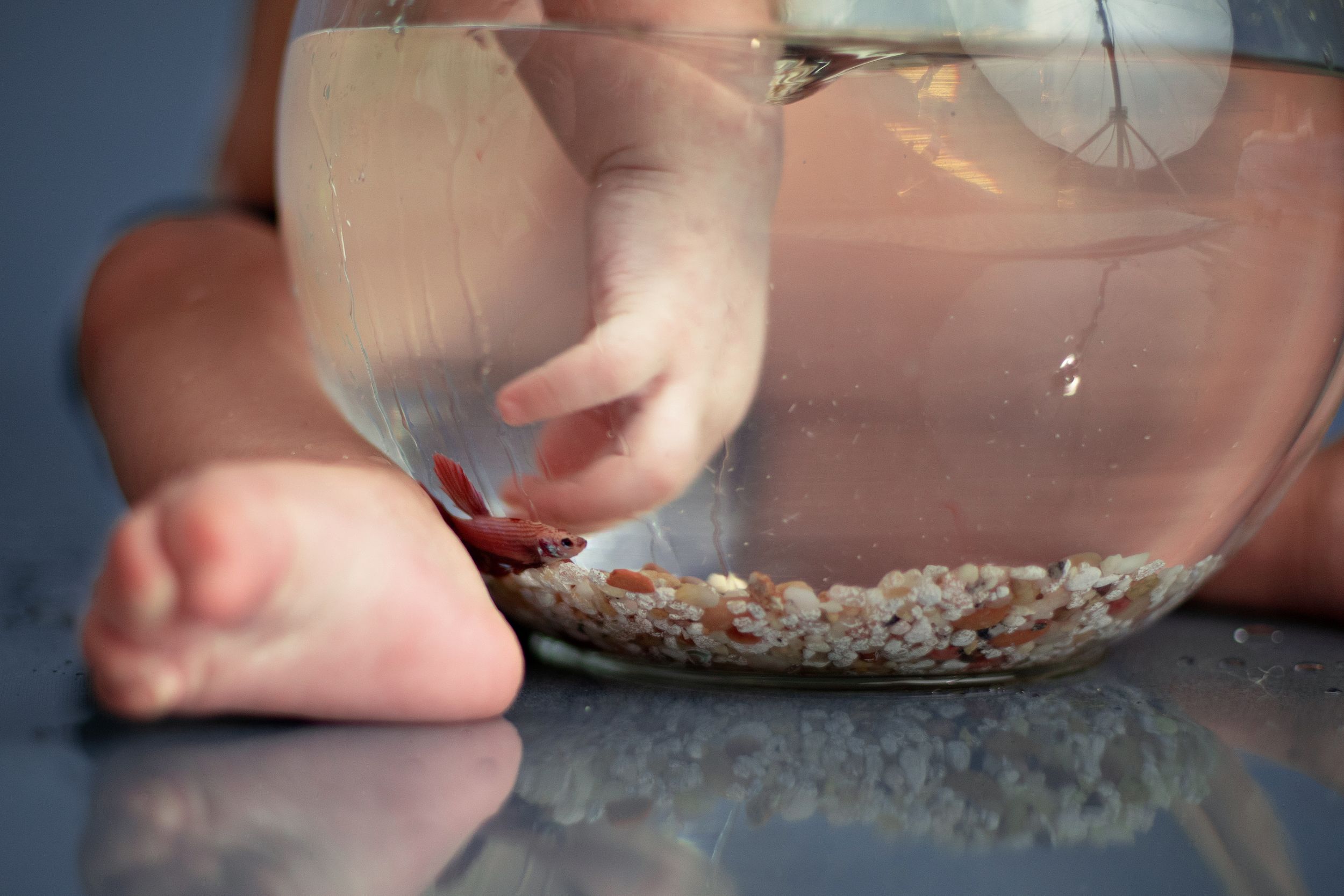 A small glass fish bowl with pebbles sits on a reflective surface casting subtle shadows.