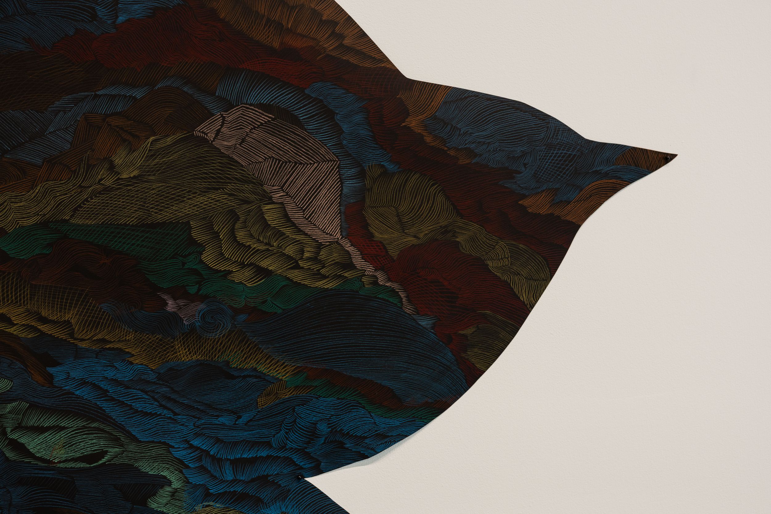 Close-up of a dark bird silhouette artwork with colorful topographic-style patterns inside.