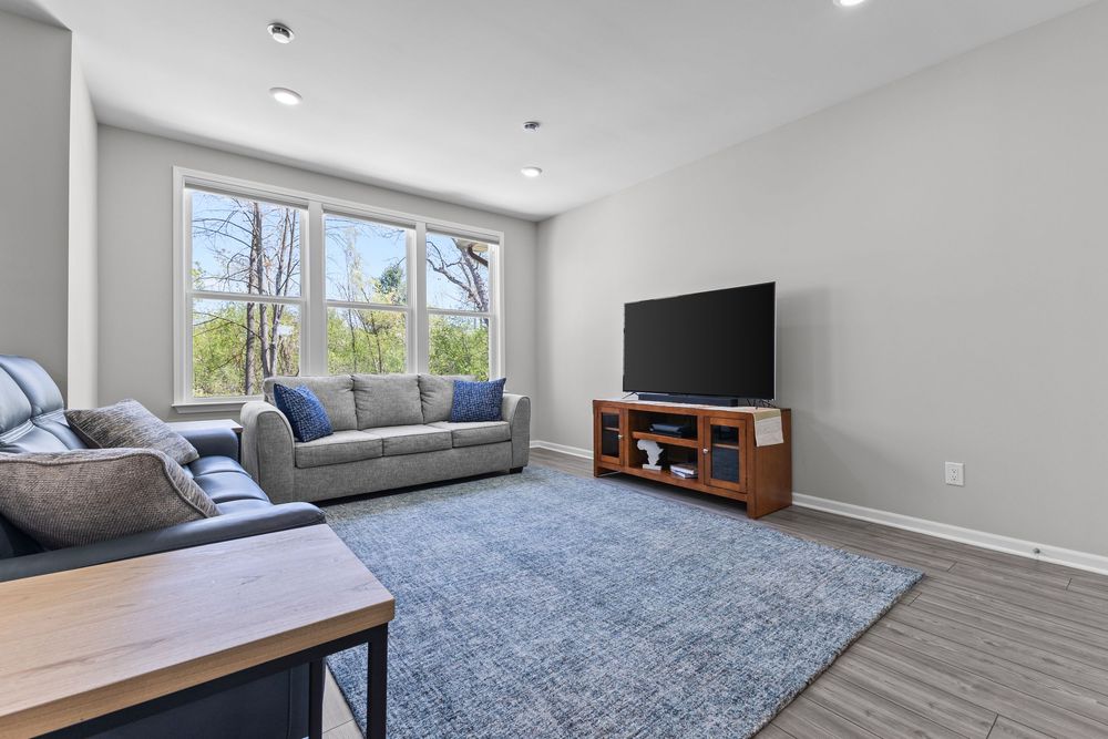 Modern living room with gray sectional sofa, blue area rug, wood TV stand, and large windows with natural light.