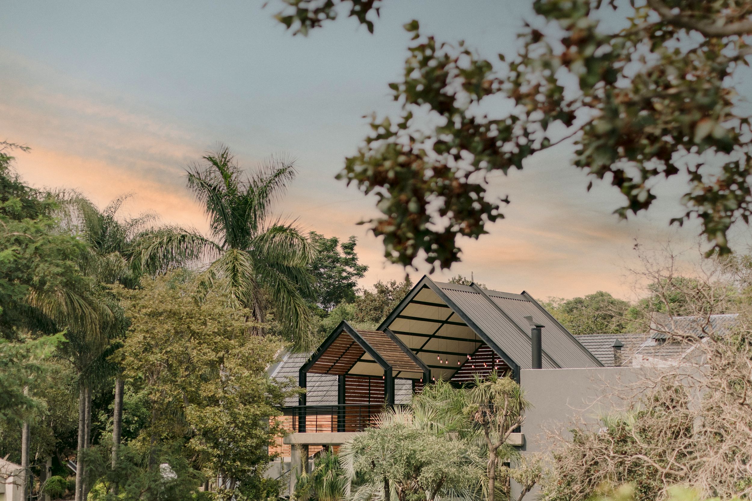 A modern house with large windows nestled among lush palm and oak trees at sunset.