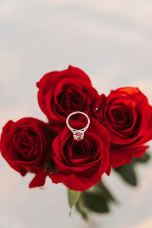 Diamond engagement ring nestled among vibrant red roses bouquet on white background.