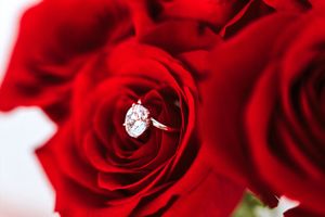 Diamond engagement ring nestled in vibrant red roses bouquet, elegant romantic proposal symbol.