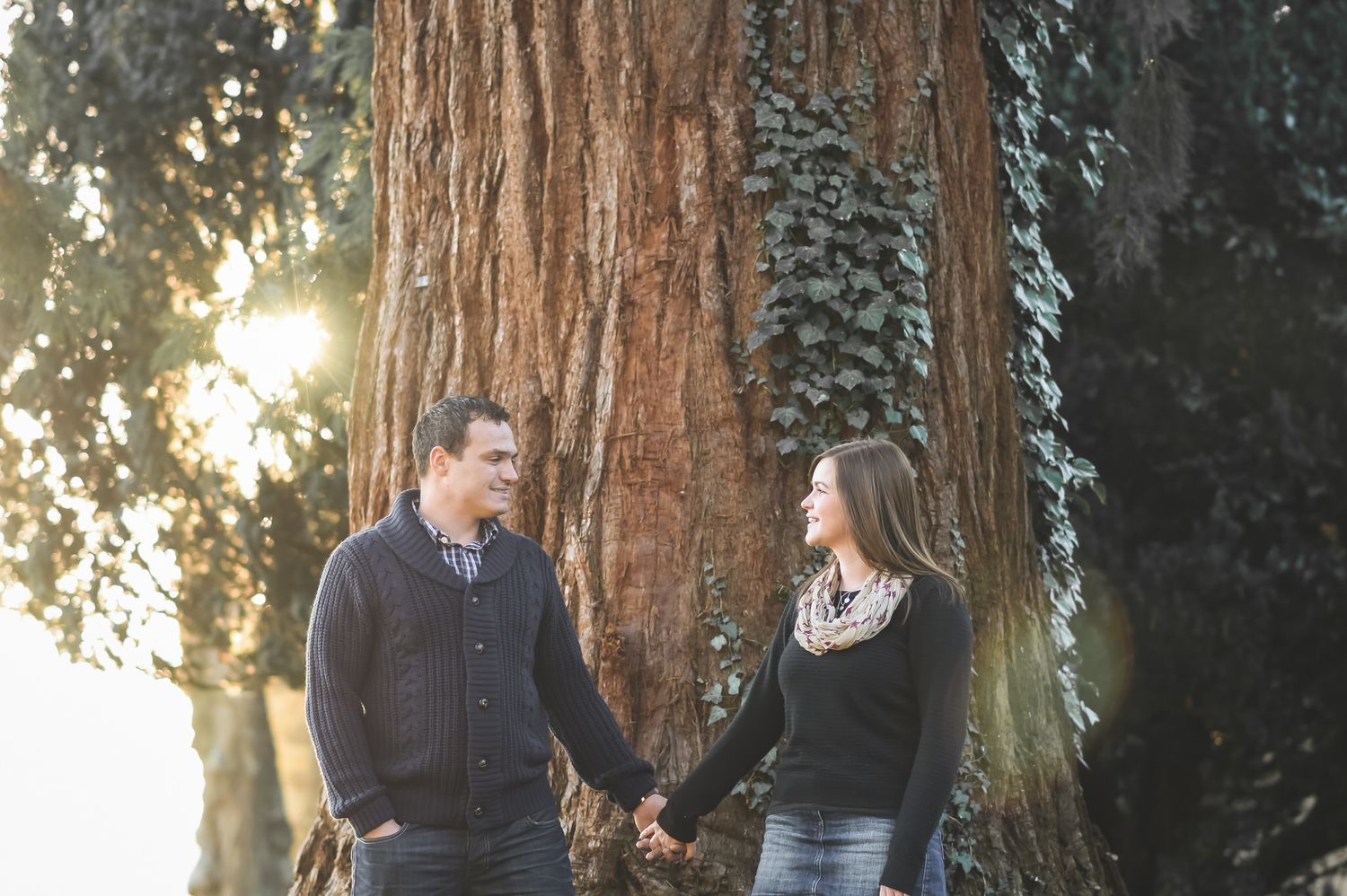 Couple holding hands smiling at each other in front of a large redwood tree in a sunlit forest.